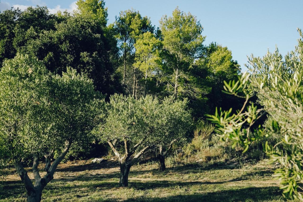 Domaine Monte Verdi Flayosc Extérieur photo